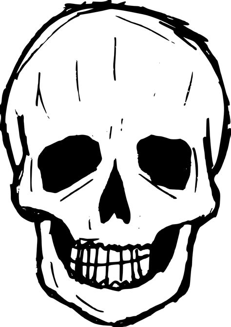 Skull Drawing Clip art - skull png download - 1093*1548 - Free ...