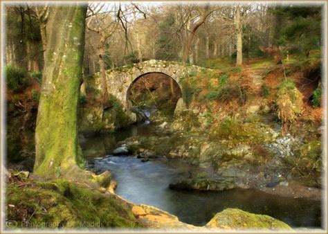 Foleys Bridge Tollymore Forest Park Scotland Vacation Forest Park