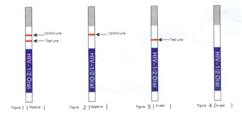 Hiv Early Detection Test Cost Hiv Test Price Types Purpose Time