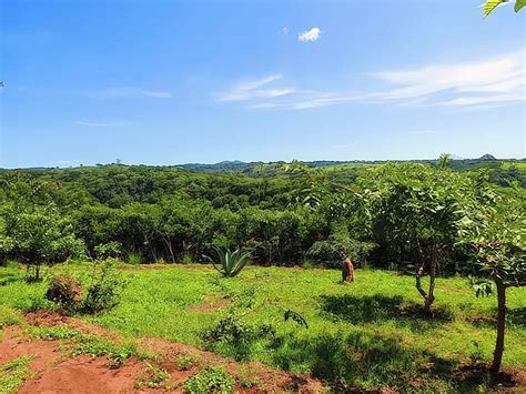 El Salvador Farms And Land For Sale List And Find The Best Farm And