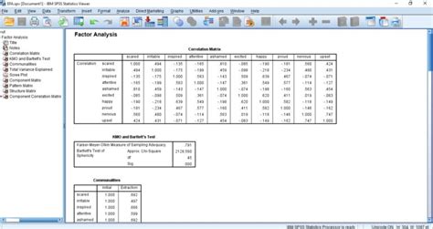 How To Run Exploratory Factor Analysis In Spss