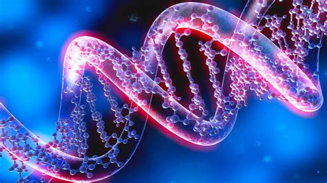 Doppia Elica La Scoperta Della Struttura Del Dna Oggi Compie 70 Anni