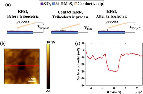 Schematic Illustration Of Triboelectric Experiments Based On Afm And