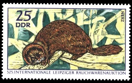 Internationale Rauchwarenauktion Nerz Briefmarke DDR