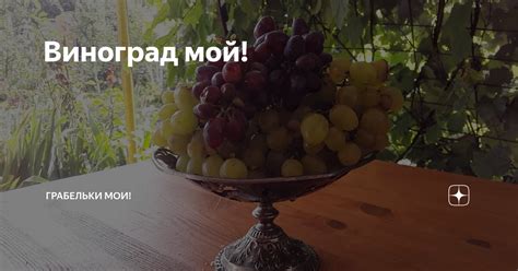 Виноград мой! | Грабельки мои! | Дзен