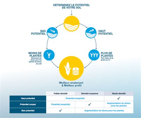 D Plafonner Vos Rendements En Ma S Avec La Bonne Densit De Semis