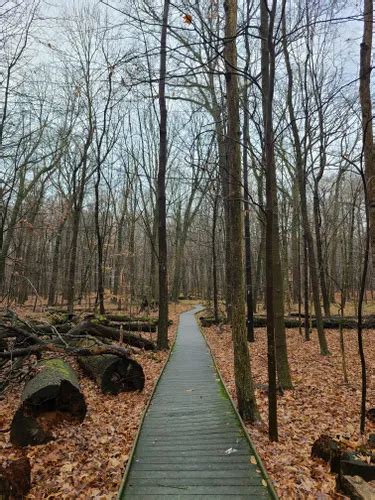 Best Hikes and Trails in Johnson Woods State Nature Preserve | AllTrails