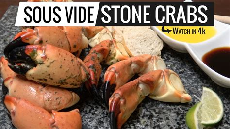 Sous Vide Stone Crabs From South Florida Youtube