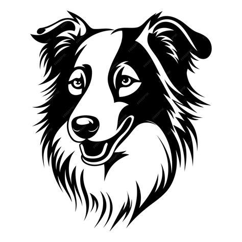 A sleek minimalist black and white illustration of a border collies