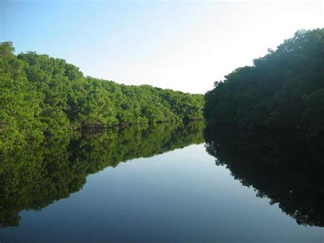 Reserva de la Biósfera Los Petenes naturaleza en Campeche