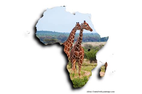 Giraffes On Africa Map Photo Maps African Art Photoshop Logo