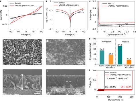 Electrochemical Performance Of Li Metal Anodes A B Cv A And Tafel