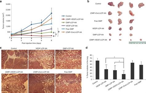 Tumor Growth Inhibition In Subcutaneous And Orthotopic Tumor Models Of