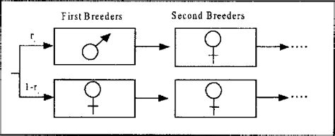 Figure 1 From Unm Digital Repository Unm Digital Repository Shrimp Adjust Their Sex Ratio To