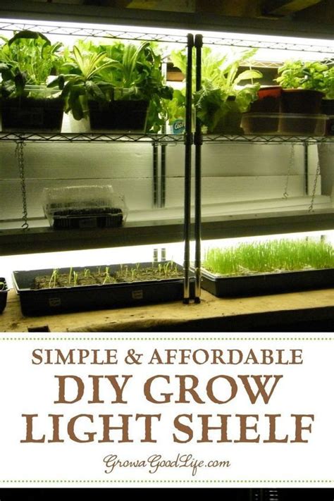 Using Grow Lights for Seedlings and Indoor Gardens | Growing plants indoors, Starting seeds ...