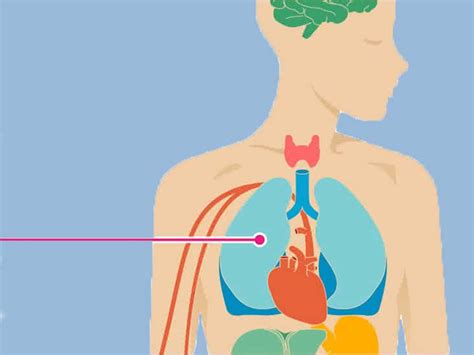 Effects of Lung Cancer on the Body