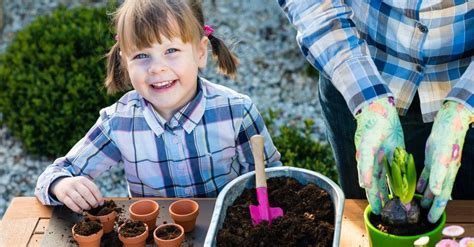 Jardinería para niños enséñales a plantar Blog Verdecora