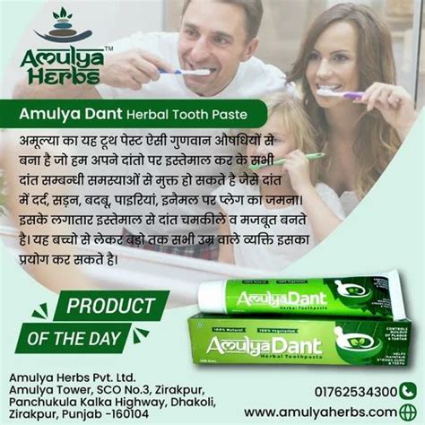 Herbal Ayurvedic 100 Gms Amulya Dant Toothpaste For Oral Care At Rs 110