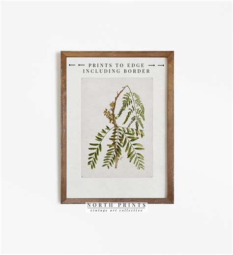 Vintage Botanical Print Set Of Two Farmhouse Decor Printable Etsy