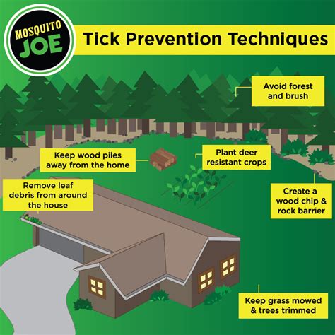 Preventing Ticks In Your Yard Mosquito Joe Of Northern De