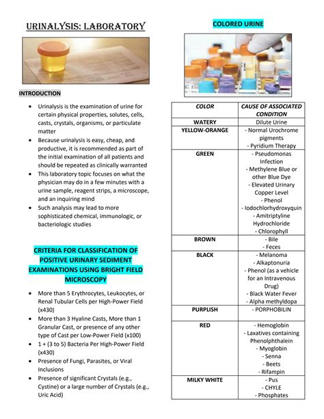 Solution Urinalysis Carbohydrate Metabolism Part 2 Laboratory Biochem