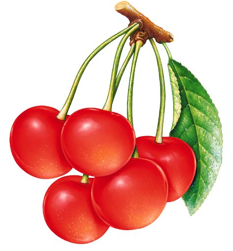 Cereza Imágenes Png Descarga Gratuita