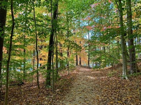 The Griffy Reservoir Lake Hike In Indiana Is Totally Underrated