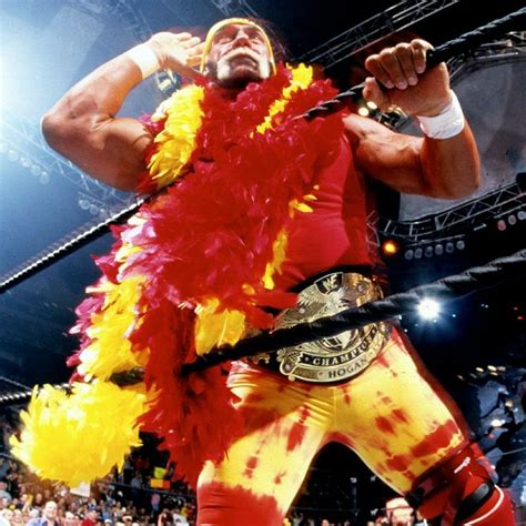 Hulk Hogan 6 (UNDISPUTED) WWF CHAMPION | Wwe champions, Wwe, Champion