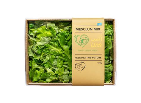 Mesclun Mix – Arabian Organics