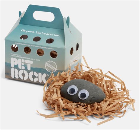 Everything Everywhere Pet Rock™ A24 Shop