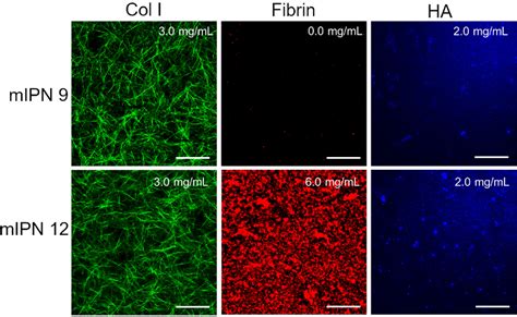 PDF Fabrication And Characterization Of Quad Component Bioinspired