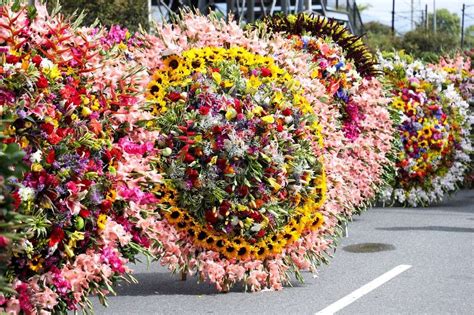 Qué hacer en Medellín 33 planes y lugares para visitar en 2025