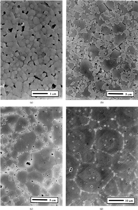 Typical Microstructure Of The Specimens Sintered At A 1300 C B