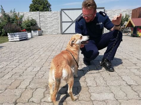 Policjanci adoptowali psa z Aleksandrowa Łódzkiego Mieszka w