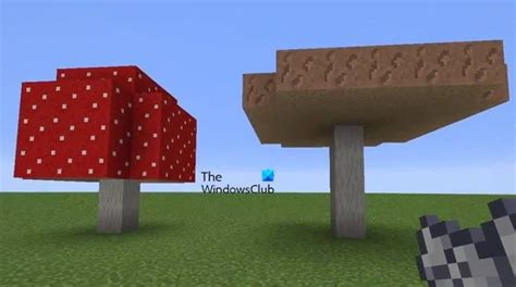 How To Grow Mushrooms In Minecraft