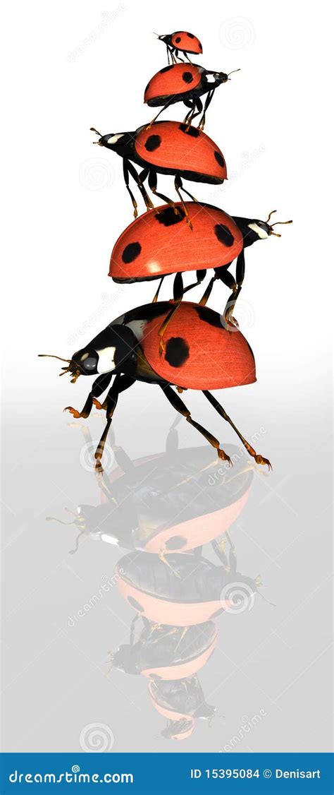 Pyramide des coccinelles illustration stock Illustration du encadré