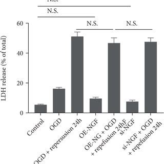 Mature NGF And ProNGFs Dynamic Change In The OGD R Model Mature NGF