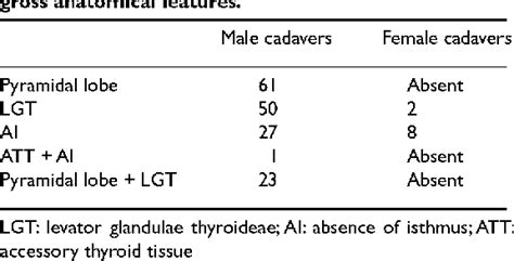 Structure Of Pyramidal Lobe Of Thyroid Semantic Scholar