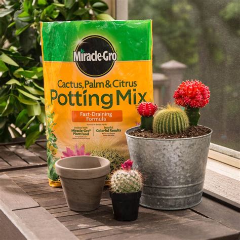 Miracle Gro Cactus Palm And Citrus Potting Mix Miracle Gro