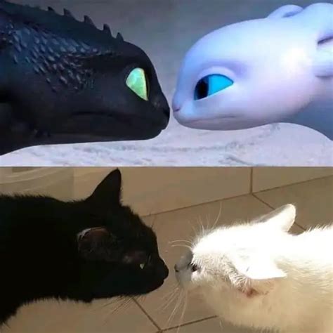 How To Train Your Dragon 4 Evolution Pikabu Monster