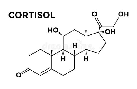 F Rmula Qu Mica Estructural Hormonal Adrenal De Cortisol Stock De