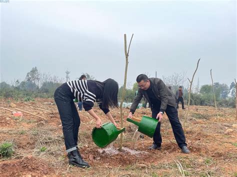 青神：掀起“互联网＋全民义务植树”新风尚 厚植生态底色 Isenlincn