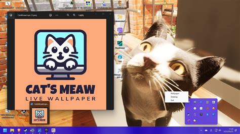 Windows Steam Cat S Meow Live Wallpaper Gamers