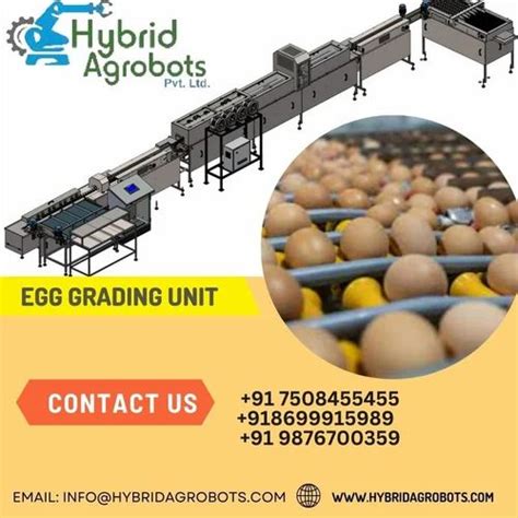 Egg Grader Machine At ₹ 550000 Egg Grader And Sorting Line In Sas Nagar