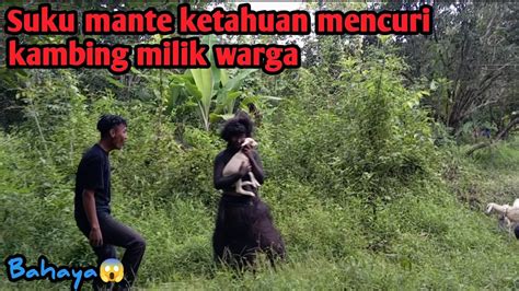 Bahayasuku Mante Ketahuan Mencuri Kambing Warga Di Hutan Youtube