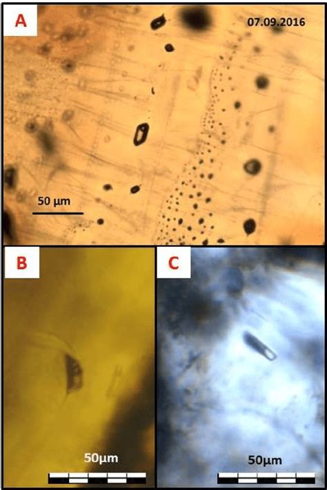 Photomicrographs Of Fluid Inclusions In A Sphalerite B And C