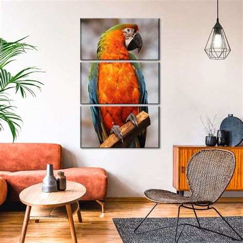 Catalina Macaw Wall Art Photography