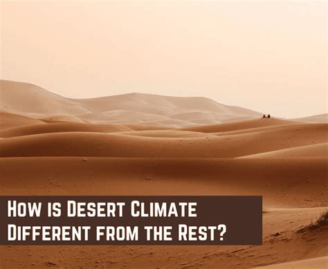 Why Does The Desert Get Cold At Night Let S Find Out