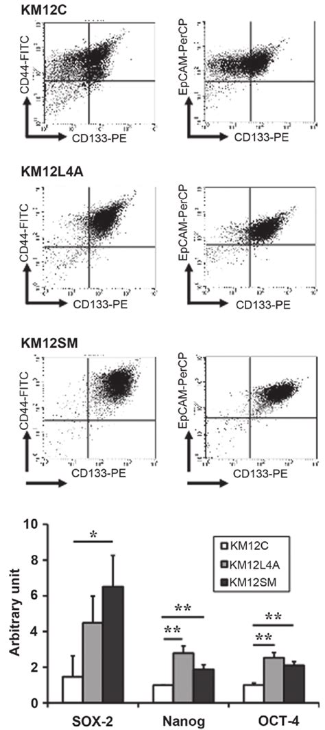 Comparison Of Expression Levels Of Putative Colon Csc Markers And