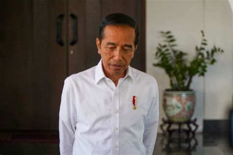 Jokowi Tunjuk Kepala Badan Pangan Arief Jadi Plt Mentan